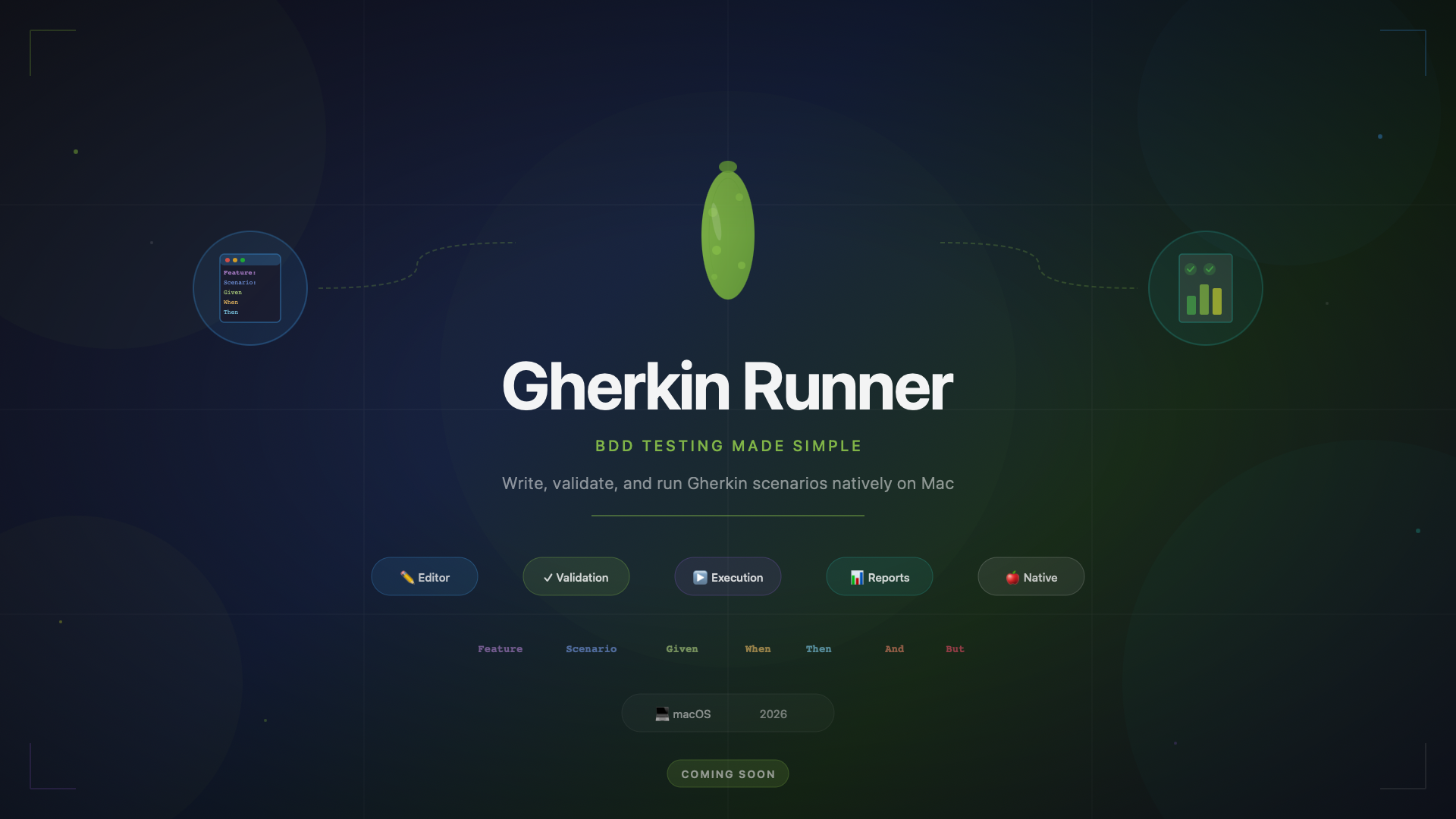 Gherkin Runner